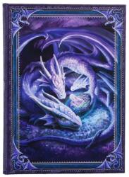 Nemesis Now Agenda Nemesis Now Fantasy: Dragons - Welcome Hatchling , format A5 (B7541B26)