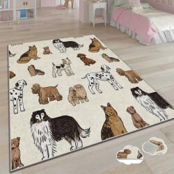 Conceptum Hypnose Carpet (160 x 230) Multicolor Csbrghl-168