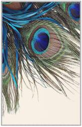 Conceptum Hypnose Carpet (160 x 230) Multicolor Hmnt568