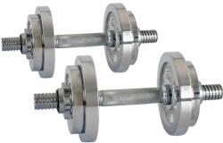 inSPORTline Egykezes kézisúlyzó insportline 2x10 kg (ISL-5413/szines)