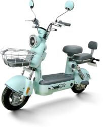 RDB Scuter Electric RDB PARIS 600W fara permis 48V 20Ah 25km/h verde (RDB-PARIS-Verde) - motosape-motocoase