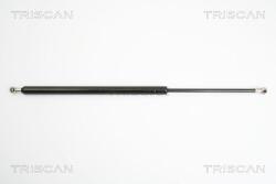 TRISCAN Amortizor portbagaj TRISCAN 8710 25229 (8710 25229) - fixbox