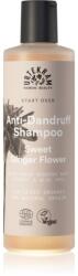 Urtekram Sweet Ginger Flower hidratáló sampon korpásodás ellen aloe és gyömbér kivonattal 250 ml
