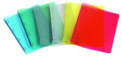 KARTON P+P Carnet cu inele A/4 PP 20mm 4 inele albastru transparent 2-147 (2-147)
