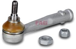 Fag Cap de bara FAG 840 1539 10 (840 1539 10)