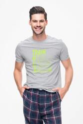 D&B Férfi/Unisex Póló ST00161 Athlete Szürke-Méret 2XL (ST00161AthleteGray2XL)