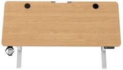 Techsend Electric Adjustable Desk PEL1460/EL-LV1460 Wood