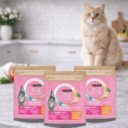 Purina One Junior száraz macskaeledel csirkével (3x750 g)