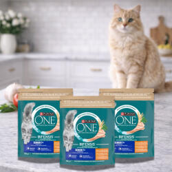 Purina One Senior száraz macskaeledel csirkével (3x750 g)