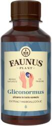 Faunus Plant Tinctura Gliconormus pentru mentinerea glicemiei in limite normale, 200 ml, Faunus Plant