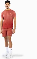Tecnifibre Team Stretch Short téglavörös rövidnadrág (23SHORTE64)