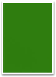 BLUERING Etikett címke, 210x297mm, 1 címke/lap zöld Bluering® (BRET111Z) - irodaszerpiac