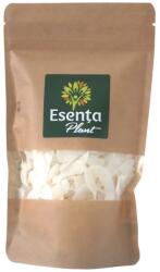 Esența Plant Fulgi de cocos 100 grame Esenta Plant (MF50897)