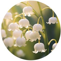  Gyöngyvirág LF illatolaj - 100 ml | LF= Low Allergenic Fragrance
