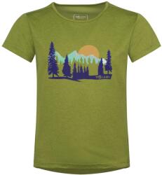 Trollkids Детска спортна тениска Trollkids Girl's Gudvangen Shirt Sport shirt - Hedge Green - размер 176 (EU) (704-5819-0320)