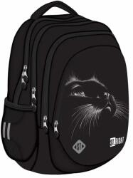  Ghiozdan Majewski ST Right, BP06, Black Cat, 4 compartimente (MJ697159)
