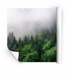 Wallarena Méretre Szabott Fotótapéta A Hálószoba Nappalijába Vinil Flizelin Szerkezet (Fototapeta Na Wymiar Ścienna Nowoczesna)
