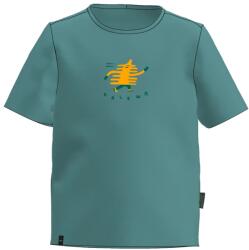 Salewa Детска тениска Salewa Kid's Graphic T-Shirt - Willow - размер 128 (EU) (704-5543-0314)