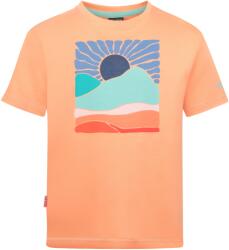 TROLLKIDS Детска тениска Trollkids Girl's Falketind T T-shirt - Coral Haze - размер 128 (EU) (704-5818-0215)