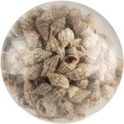 Clayre & Eef Buton mobilier sticla bej Scoici Ø 5x4 cm / S3 cm (66062Xdeco)