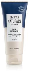 DSN By Ahava Exfoliant facial, 100ml, DSN By Ahava Masca de fata