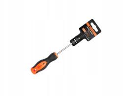 Teger Keresztcsavarhúzó Pz 1x100mm /teger (T-W-WKK008)