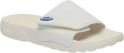 Scholl NAUTILUS