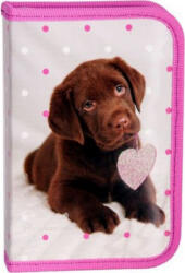 PASO Tolltartó Paso klapnis Kutya 20x13x4cm Dog -Labrador- kutya kollekció Paso (RHP-001)