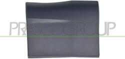 PRASCO Elemente decorative/protectie, aripa PRASCO AD8201402 (AD8201402)