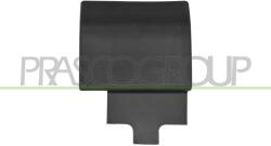 PRASCO Elemente decorative/protectie, panou lateral PRASCO FD9131424 (FD9131424)
