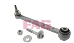 Fag Brat/bieleta, suspensie roata FAG 821 0917 10 (821 0917 10)