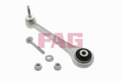 Fag Brat, suspensie roata FAG 821 0169 10 (821 0169 10)