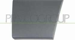 PRASCO Elemente decorative/protectie, portiera PRASCO FT9301406 (FT9301406)