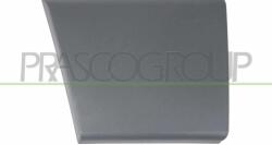 PRASCO Elemente decorative/protectie, portiera PRASCO FT9301405 (FT9301405)