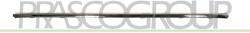 PRASCO Elemente decorative/protectie, bara protectie PRASCO VG0551275 (VG0551275)
