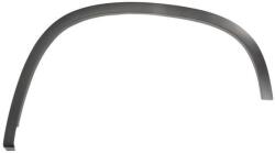 Blic Elemente decorative/protectie, aripa Blic 5703-08-9548591P (5703-08-9548591P)