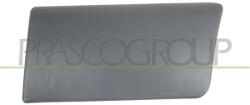 PRASCO Elemente decorative/protectie, portiera PRASCO OP9321456 (OP9321456)