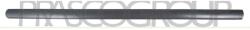 PRASCO Elemente decorative/protectie, portiera PRASCO VG9041403 (VG9041403)