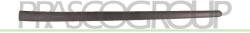 PRASCO Elemente decorative/protectie, portiera PRASCO VG0361404 (VG0361404)