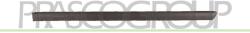 PRASCO Elemente decorative/protectie, portiera PRASCO VG0521454 (VG0521454)