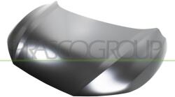 PRASCO Capota motor PRASCO DS7133100 (DS7133100) - fixbox