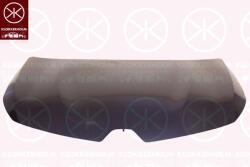 Original Renault Capota motor ORIGINAL RENAULT 651003246R (651003246R)