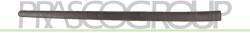 PRASCO Elemente decorative/protectie, portiera PRASCO VG0361403 (VG0361403)
