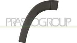 PRASCO Elemente decorative/protectie, aripa PRASCO FT9301583 (FT9301583)
