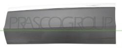 PRASCO Elemente decorative/protectie, portiera PRASCO VG8101464 (VG8101464)