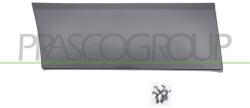 PRASCO Elemente decorative/protectie, aripa PRASCO FT9001455 (FT9001455)