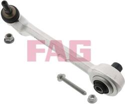 Fag Brat, suspensie roata FAG 821 0599 10 (821 0599 10)