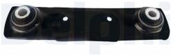 DELPHI Brat/bieleta, suspensie roata DELPHI TC4629 (TC4629)