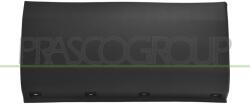 PRASCO Elemente decorative/protectie, aripa PRASCO FT9501474 (FT9501474)
