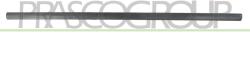 PRASCO Elemente decorative/protectie, portiera PRASCO VG0211403 (VG0211403)